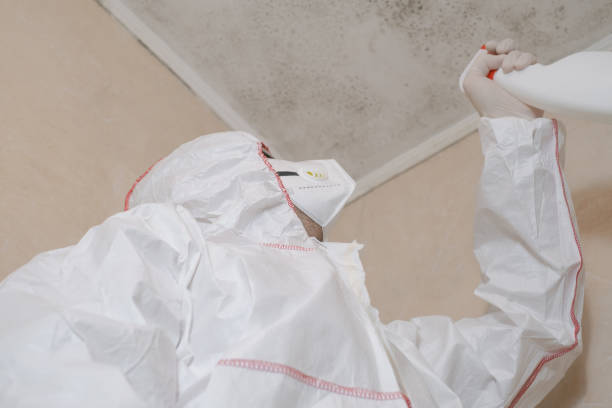 Mold Removal and Inspection in Clark, SD