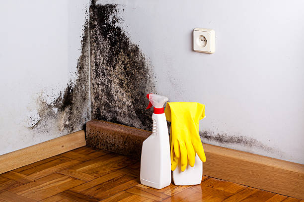 Clark, SD Mold Removal Company